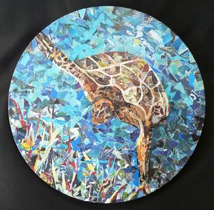 sea turtle blue collage